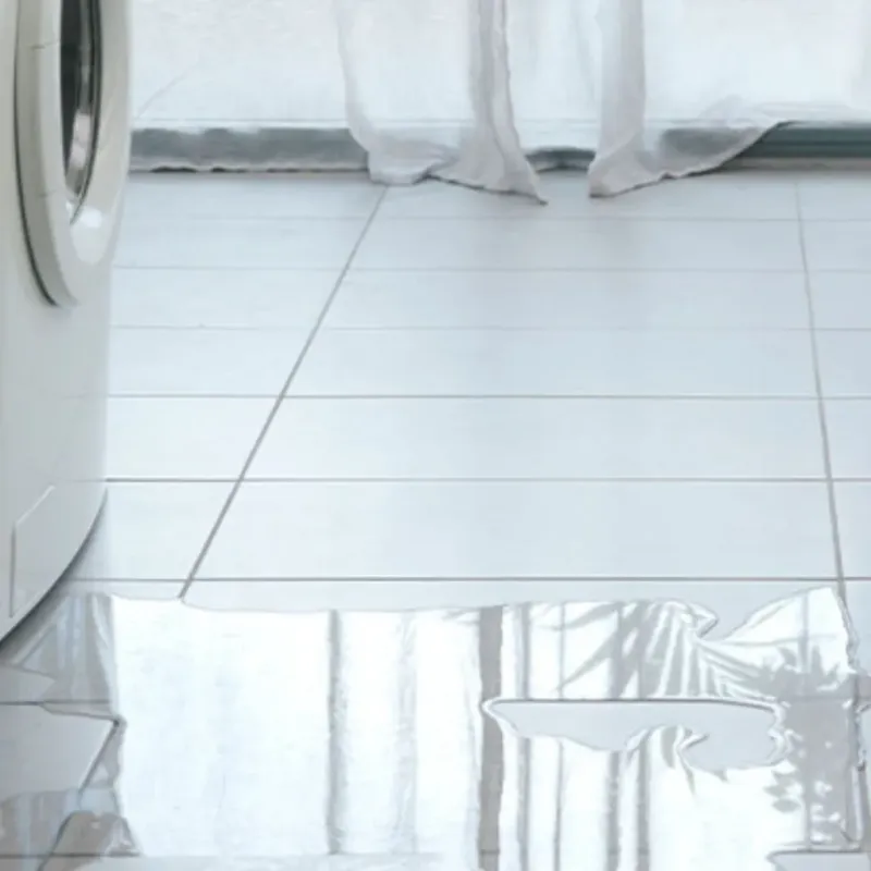 Appliance Leak Cleanup in Edinburg, VA