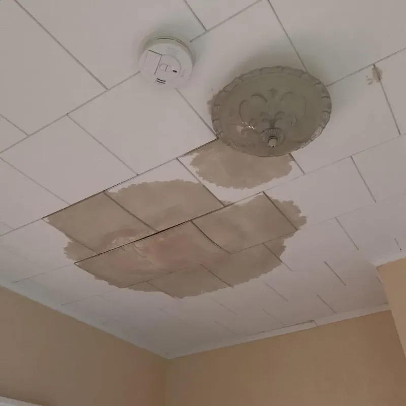 Ceiling Water Damage Repair in Edinburg, VA