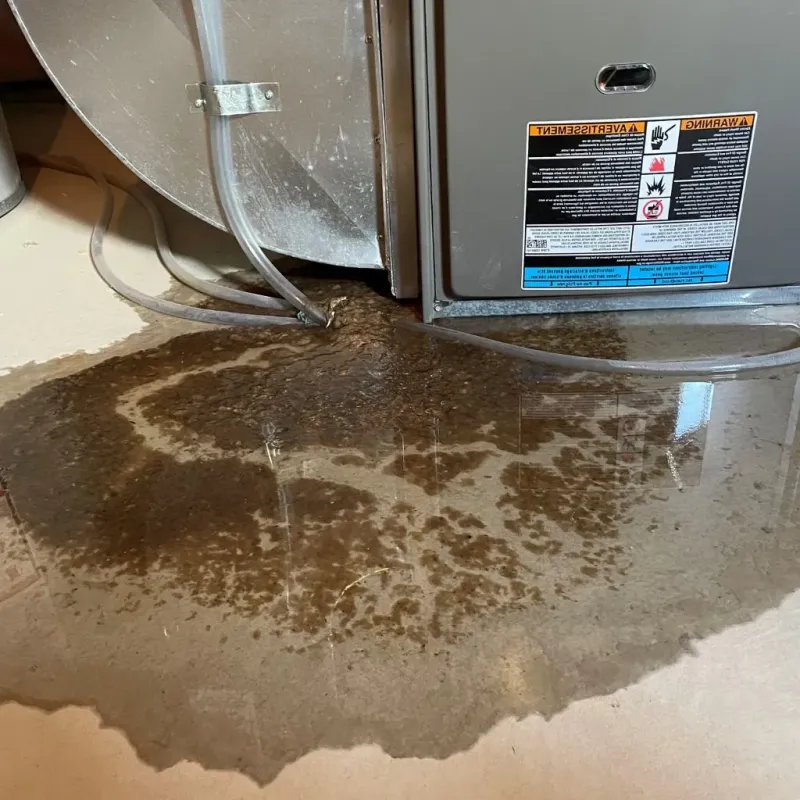 Pipe Burst and Leak Restoration in Edinburg, VA