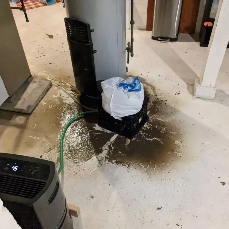Sewage Backup Cleanup Service in Edinburg, VA